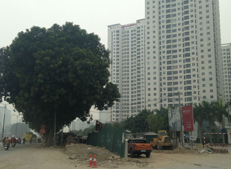 Căn hộ 85 tỷ đồng bỏ hoang bên đường vành đai 3